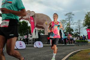 BIB: 
                            <button type="button" onclick="openModal(26528932)" class="btn btn-primary btn-sm float-right btn-popup" data-toggle="modal" data-target=".modal-high-quality">
                        <i class="fas fa-shopping-cart"></i> Add to Cart
                    </button>
                                            <button type="button" onclick="isThisMe(26528932, true)" class="btn btn-success btn-sm float-right btn-popup btn-isme hidden" data-toggle="tooltip" data-placement="bottom" title="นี่คือรูปของคุณใช่ไหม คลิกที่นี่เพื่อเอาเข้าอัลบั้ม">
                        <i class="fas fa-plus"></i> Add to album
                    </button>
                    <button type="button" onclick="isThisMe(26528932, false)" class="btn btn-warning btn-sm float-right btn-popup btn-isnotme hidden">
                        <i class="fas fa-ban"></i> Remove from album
                    </button>